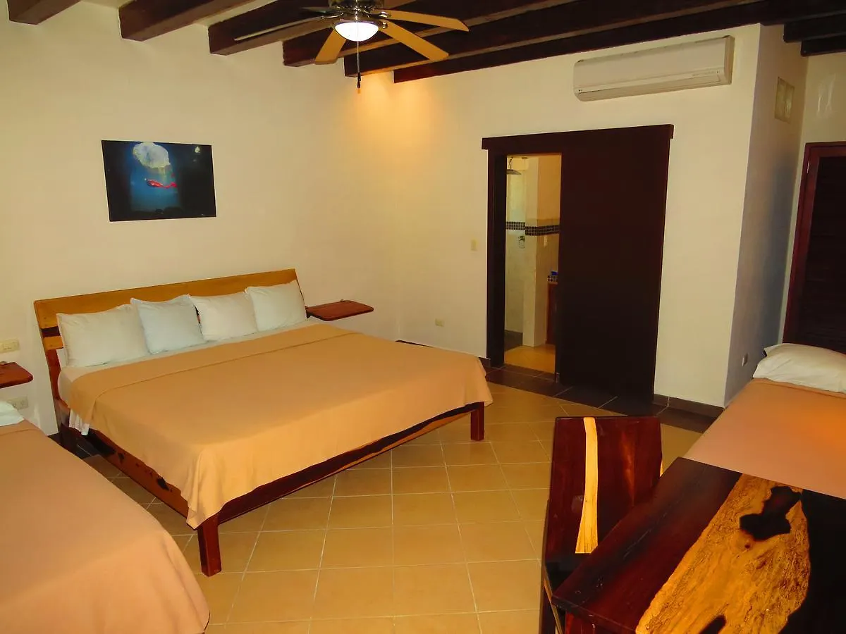 Xibalba Hotel Dive Center Tulum